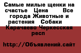 Самые милые щенки на счастье › Цена ­ 1 - Все города Животные и растения » Собаки   . Карачаево-Черкесская респ.